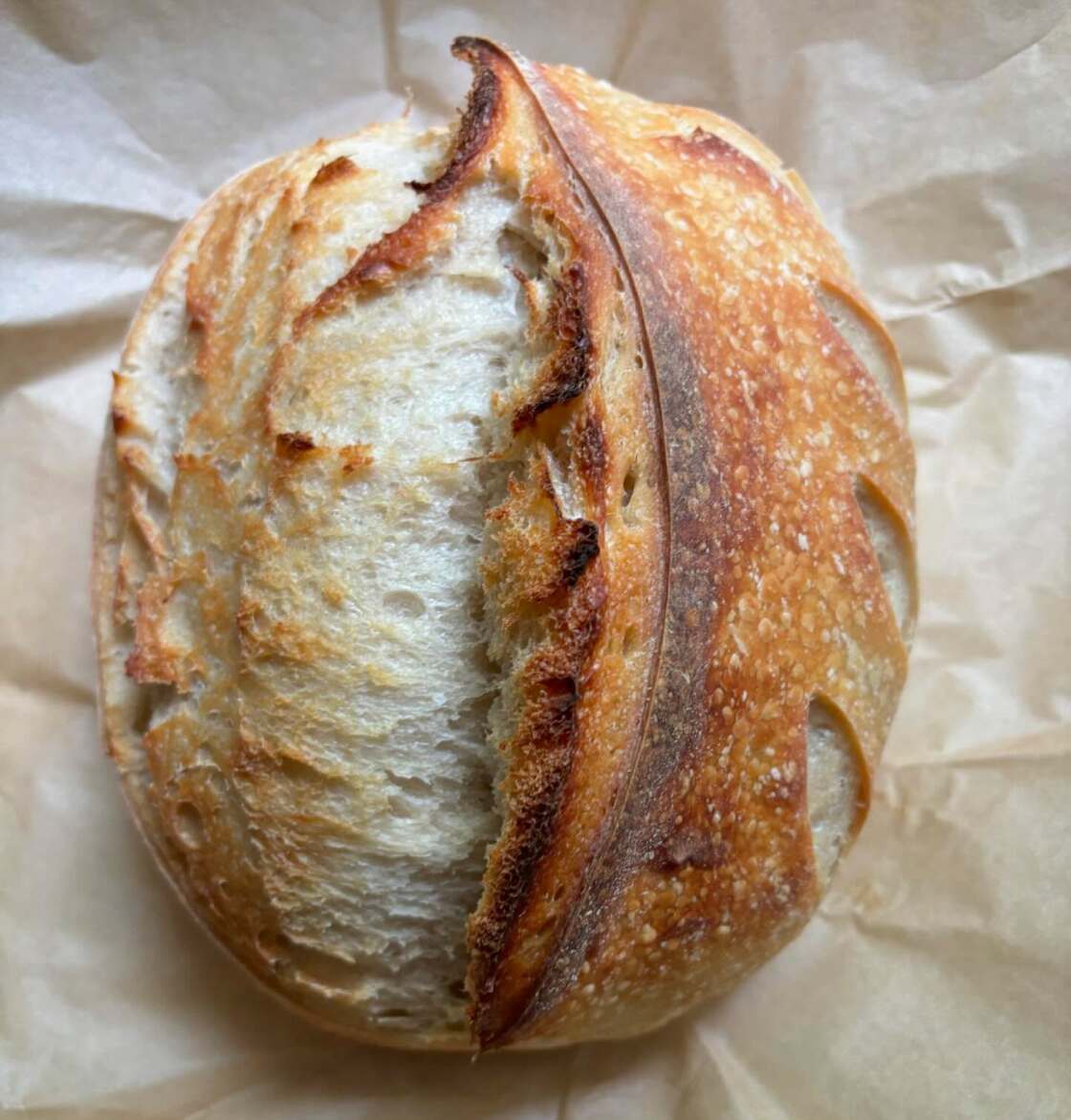 Ashlan Avey — photo from wakeandbakesourdough.square.site
